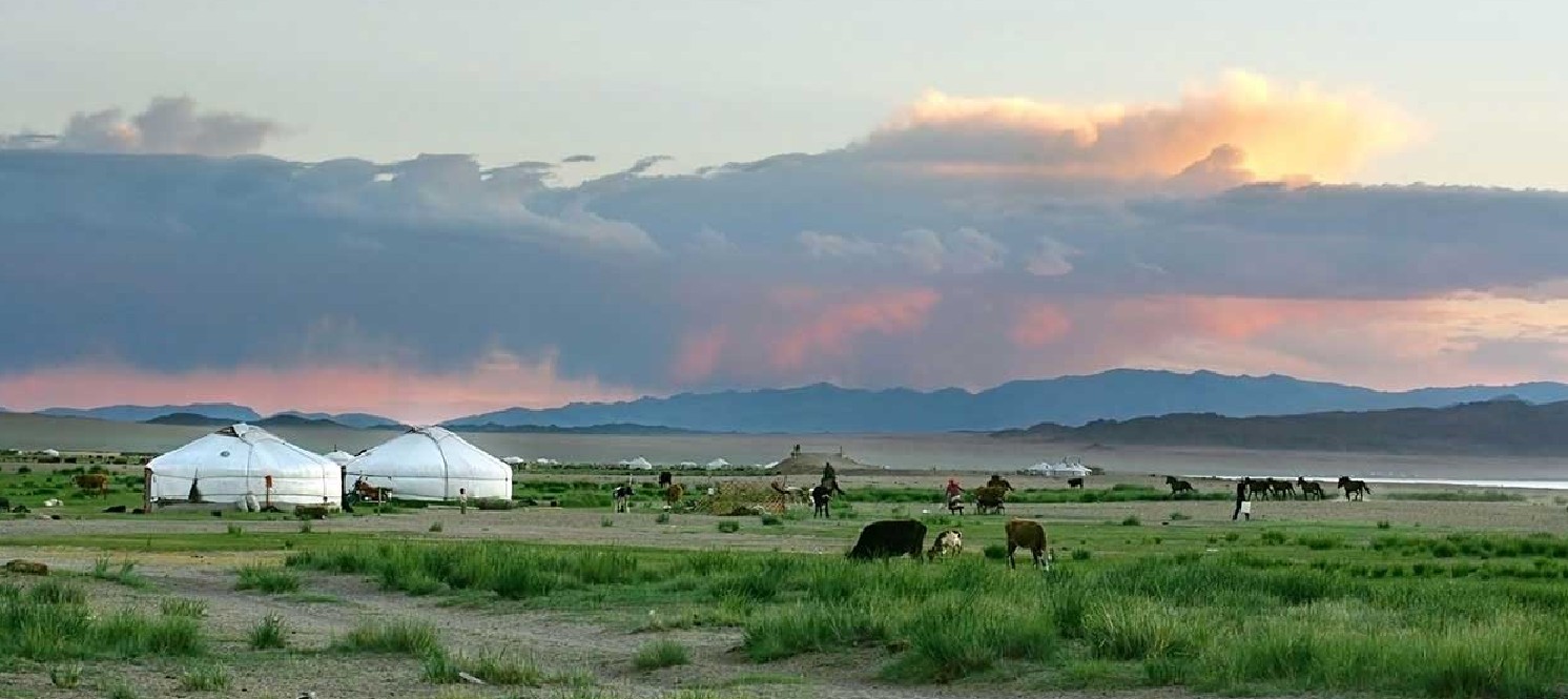 モンゴル遊牧
